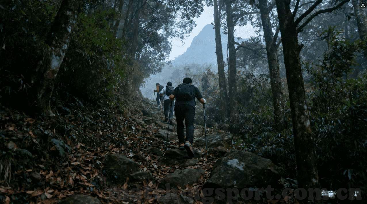 开元下载-开元下载，探秘一站式娱乐资源平台的魅力